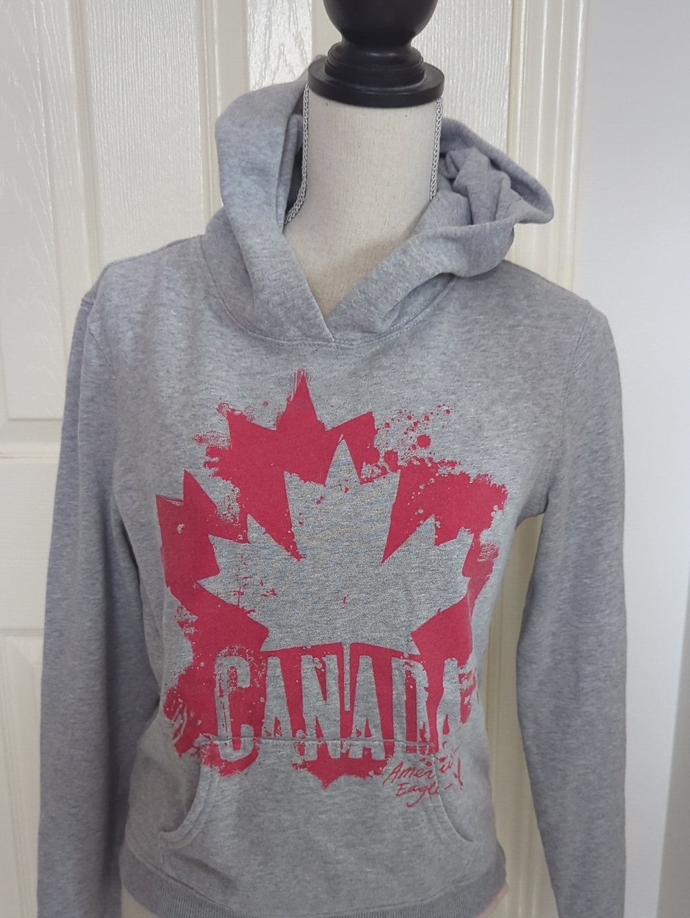 American Eagle Outfitters Gray Hoodie with Pink Canada Graphic